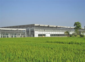 推進生態(tài)循環(huán) 生物農(nóng)藥技術(shù)在現(xiàn)代農(nóng)業(yè)協(xié)調(diào)發(fā)展中的關(guān)鍵作用