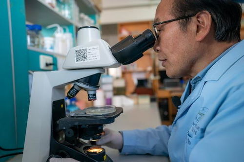 生物農藥技術研發 綠色農業的新引擎