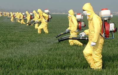 綠色守護 生物農藥技術研發——有機農業病蟲害防治的關鍵突破